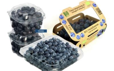 Обладнання для автоматичного наповнення голубкою різних видів упаковки: підвищена точність та більш делікатне поводження з ягодами