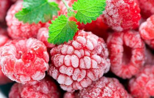 Особенности промышленной заморозки ягод
