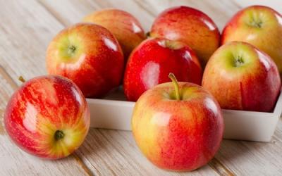 Как сортируют и хранят яблоки в Европе? Опыт польских садоводов